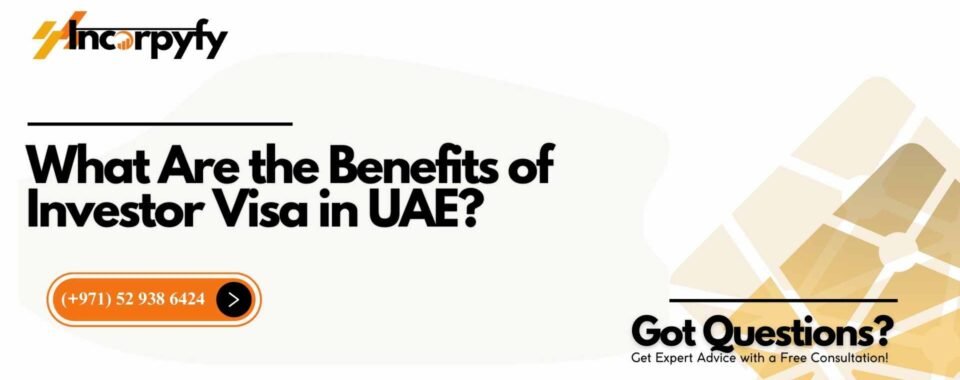 What Are the Benefits of Investor Visa in UAE?